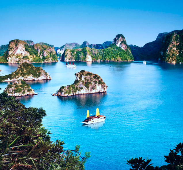 Dịch vụ