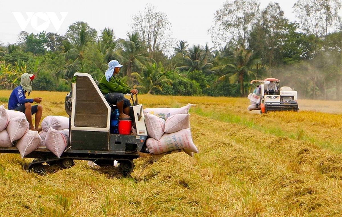 Xuất khẩu nông sản